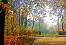 Artikelbild-November-2016